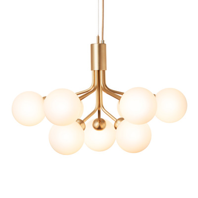Apiales 9 Chandelier