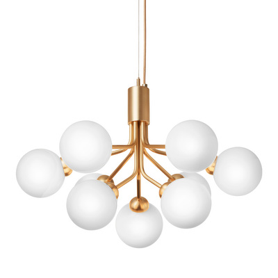 Apiales 9 Chandelier