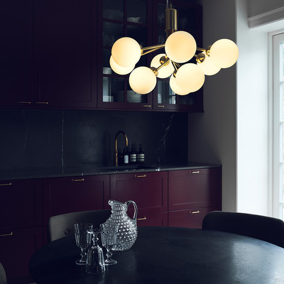 Apiales 9 Chandelier