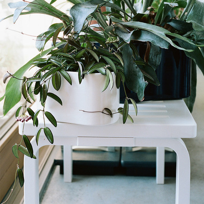Bench 153B