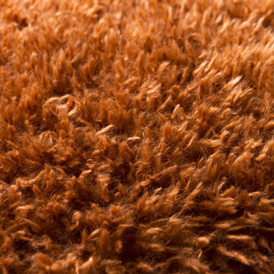 Teddy Cushion
