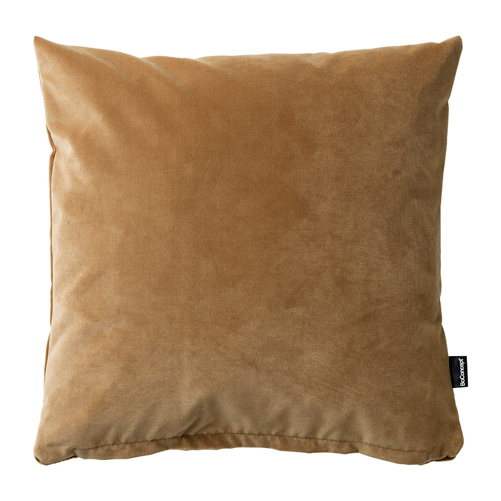 Velvet Cushion