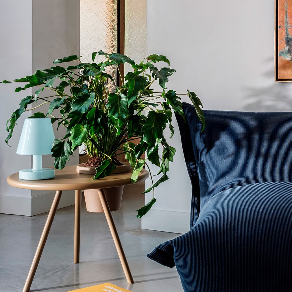 Edison the Ambiance Table Lamp