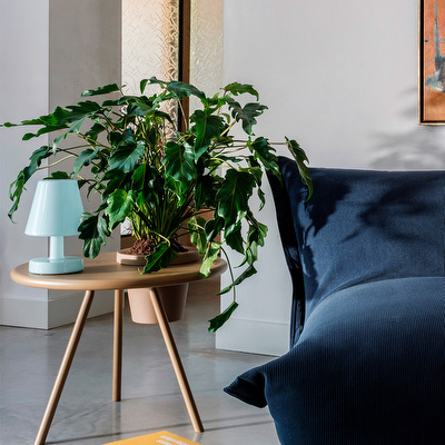 Edison the Ambiance Table Lamp