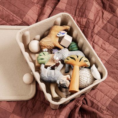 Paper Pulp Box