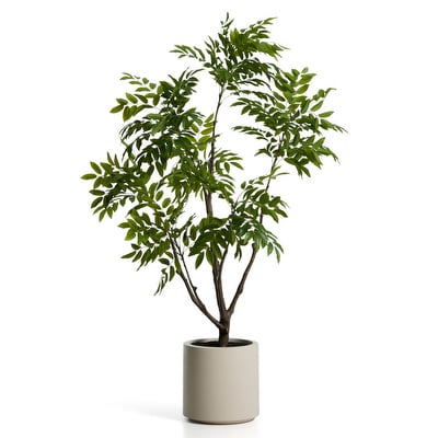 Rhus-tekokasvi