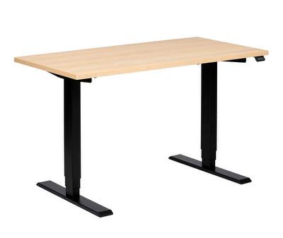 Race Standing Desk