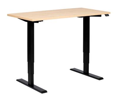 Race Standing Desk