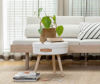 Aski Coffee Table/Storage Unit